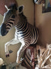 Half Mount Zebra on Pedestal