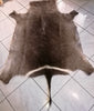 Waterbuck Flat skin.