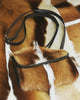 Springbuck Bags.