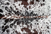 Nguni Cow Hide.