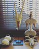Home & Decor