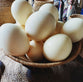 Fresh Ostrich Eggs.