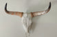 Cow Decor Skull.