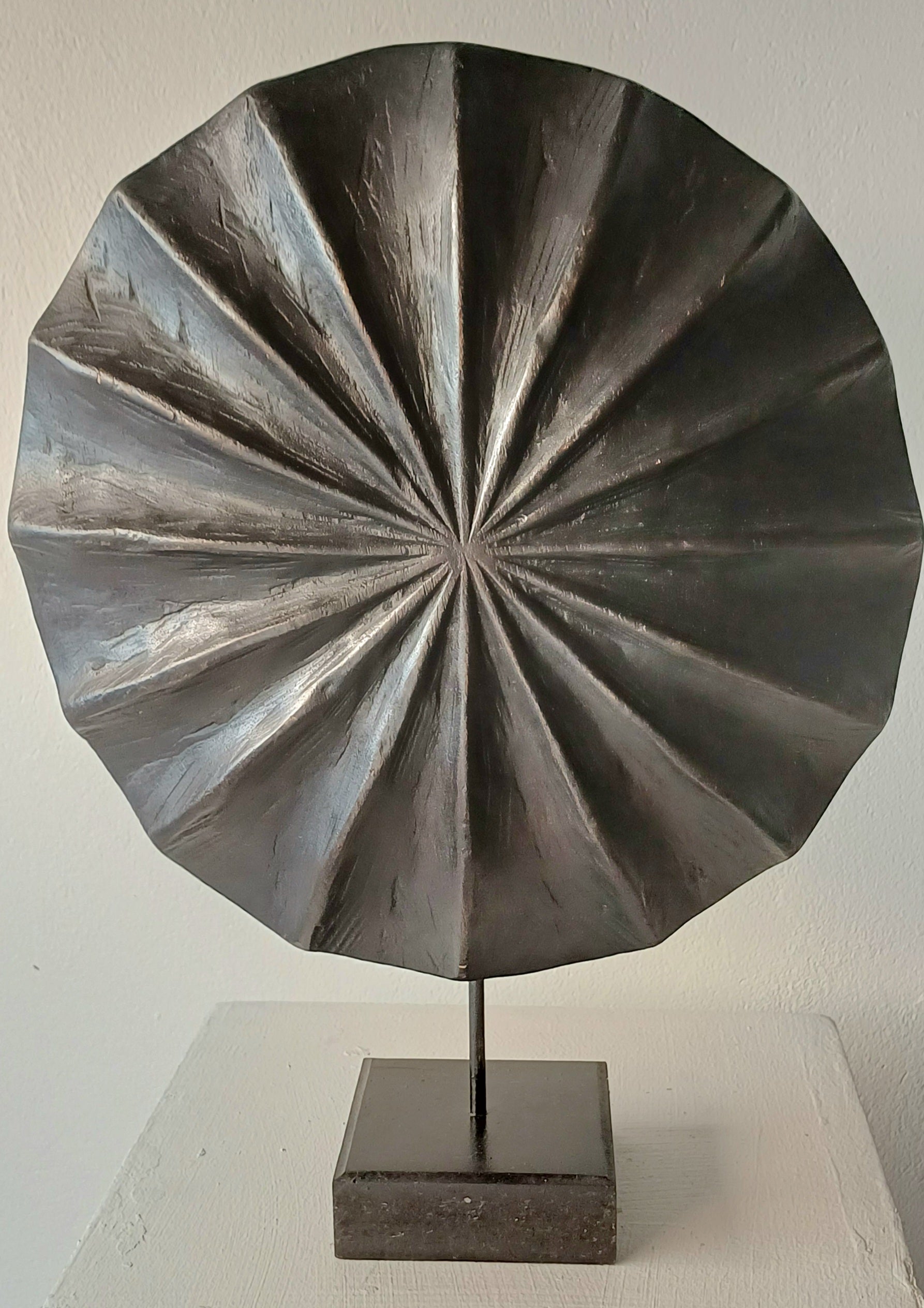 Ambrella Shield 30cm