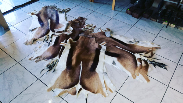 Springbok Flat Skin
