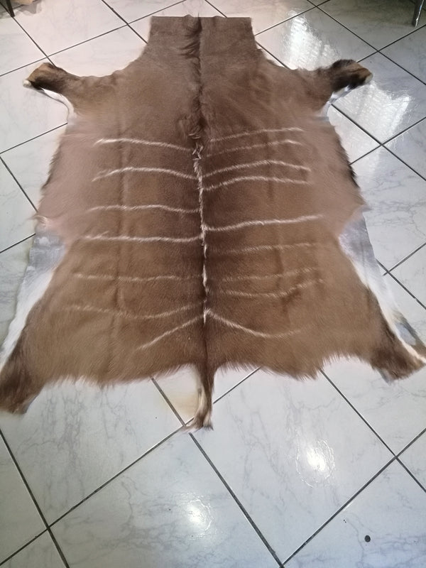 Kudu Hides
