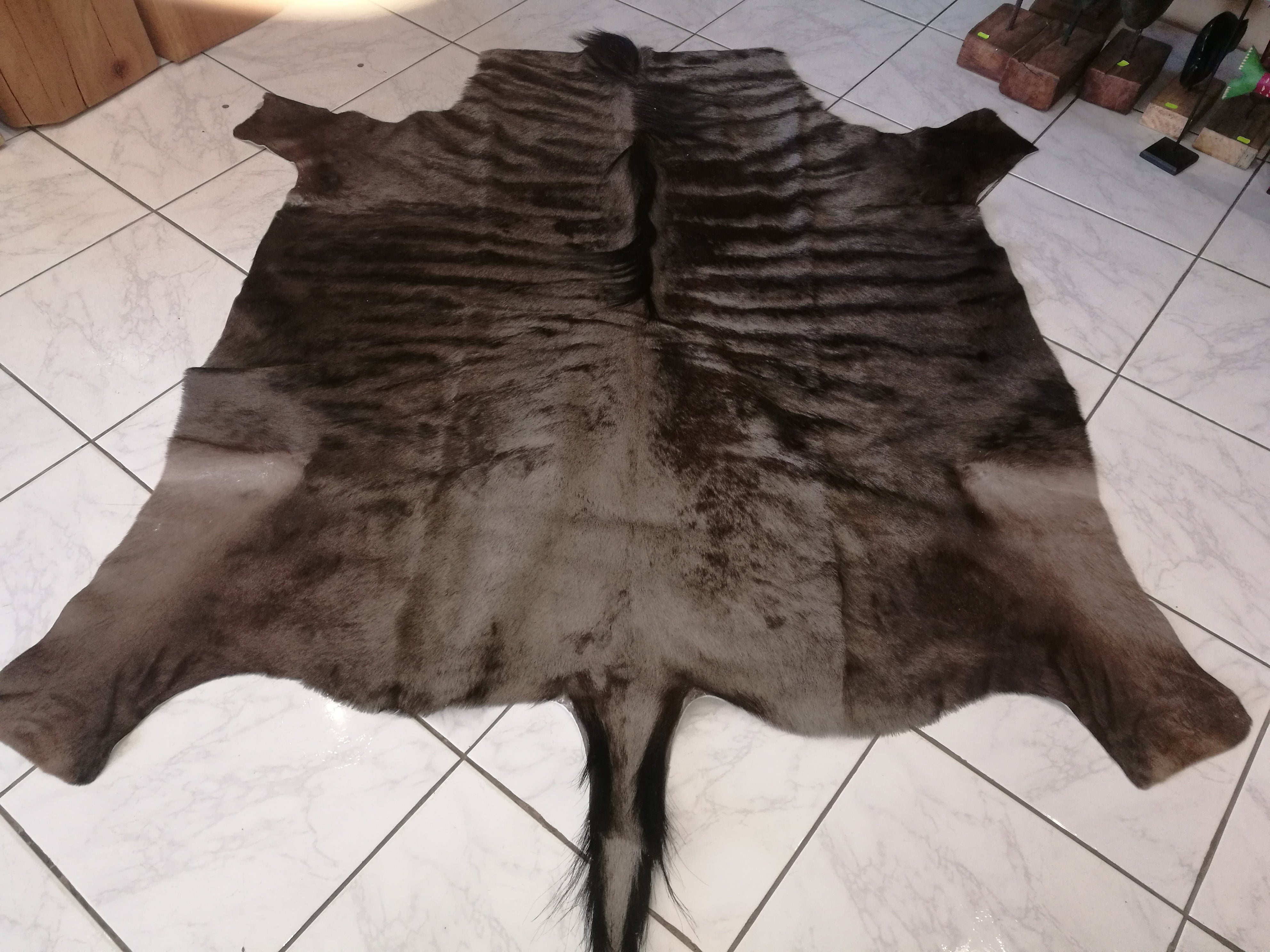 Blue Wildebeest Flat Skin.