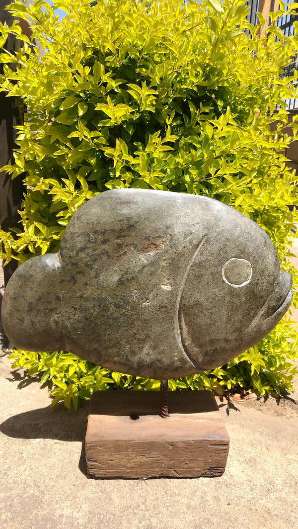 Green spotted Opal Fish Zimbabwe.