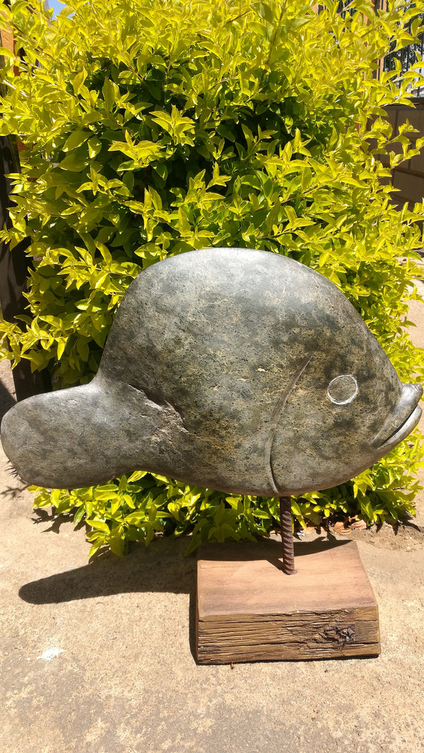 Green spotted Opal Fish Zimbabwe.