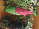 Wooden carved Fish.