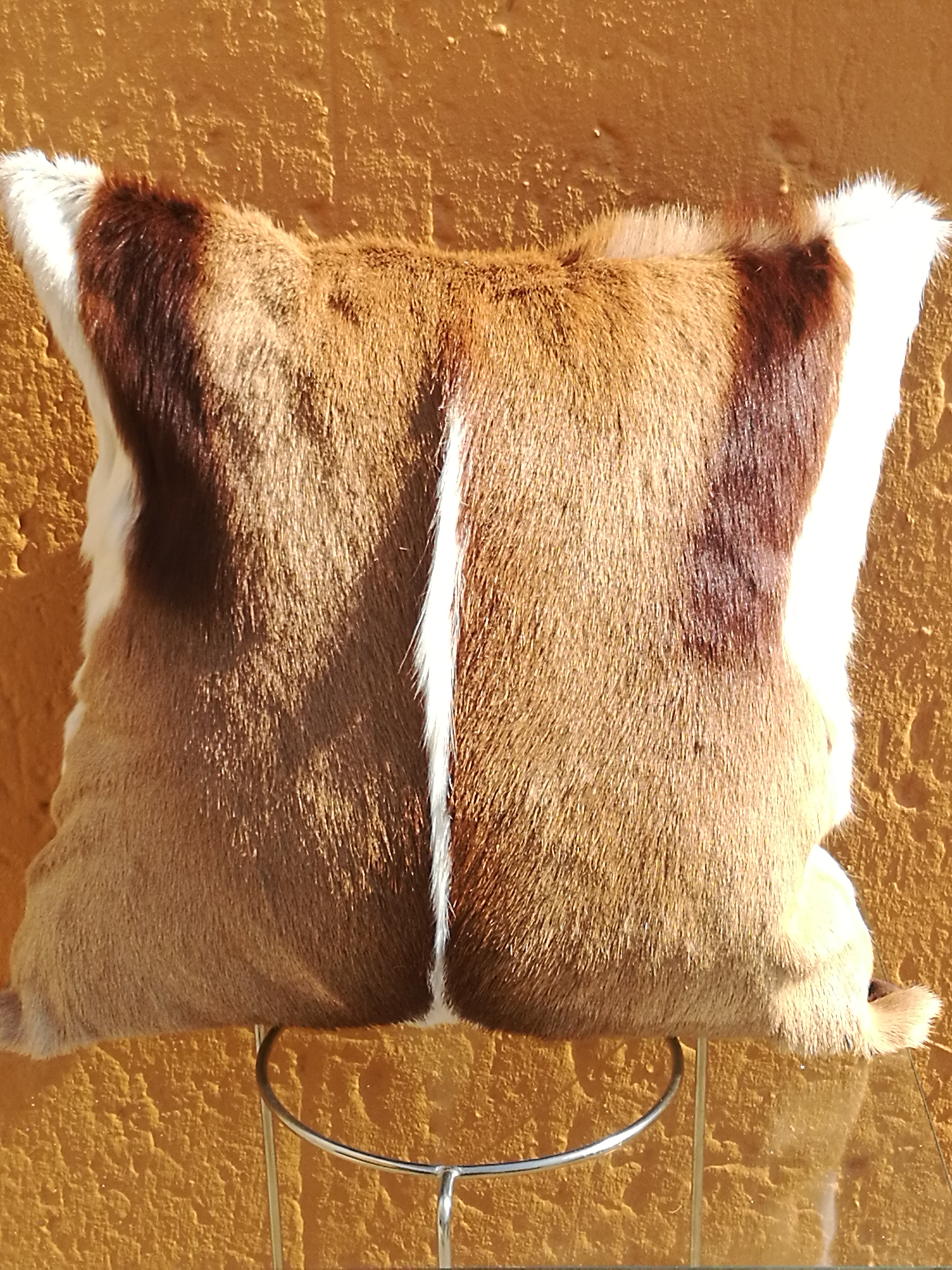 Springbok Cushion