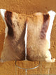Springbok Cushion