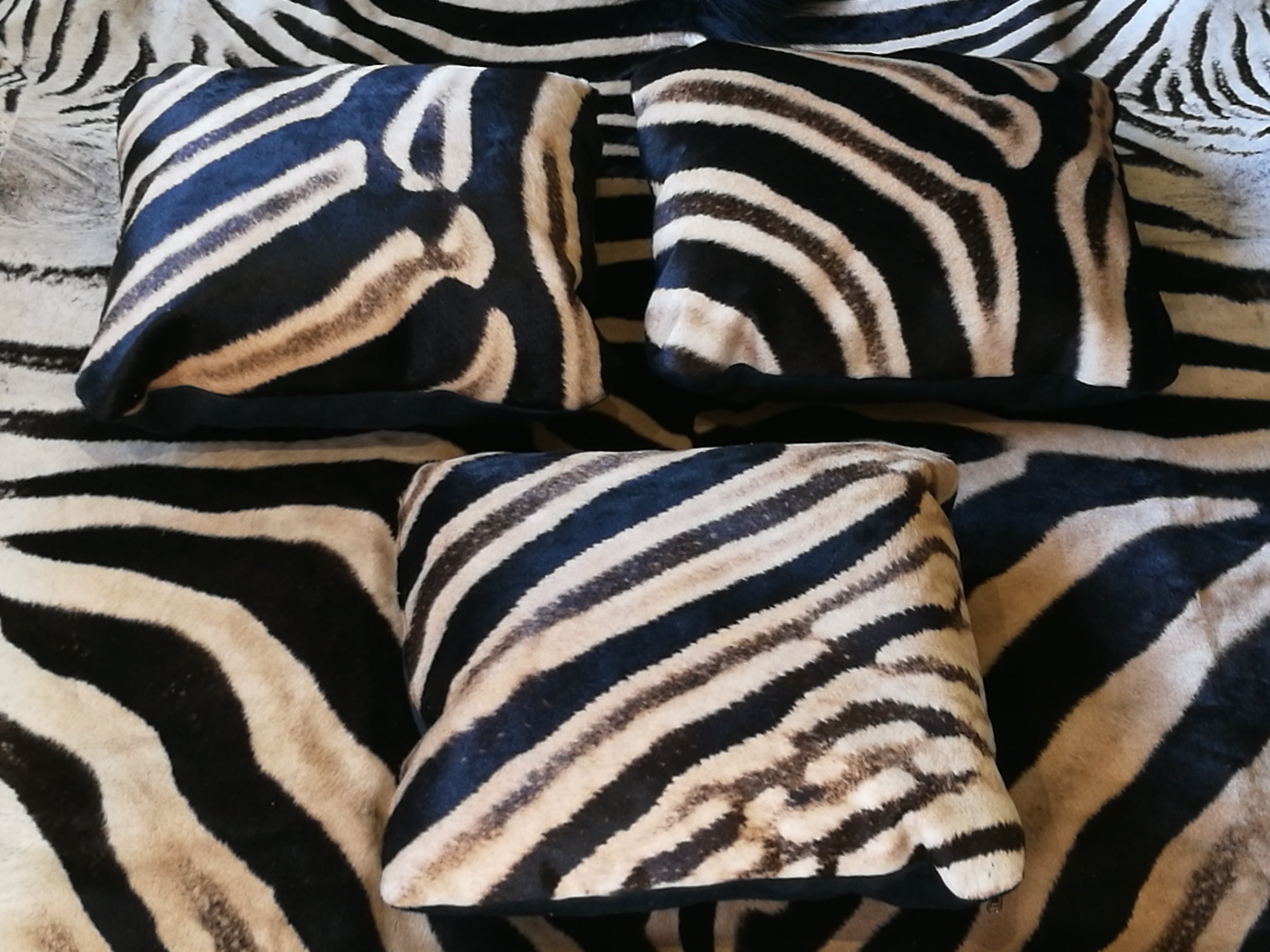 Zebra Hide Cushion(each)