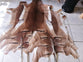 Impala(aepyceros melampus) Flat Skin.