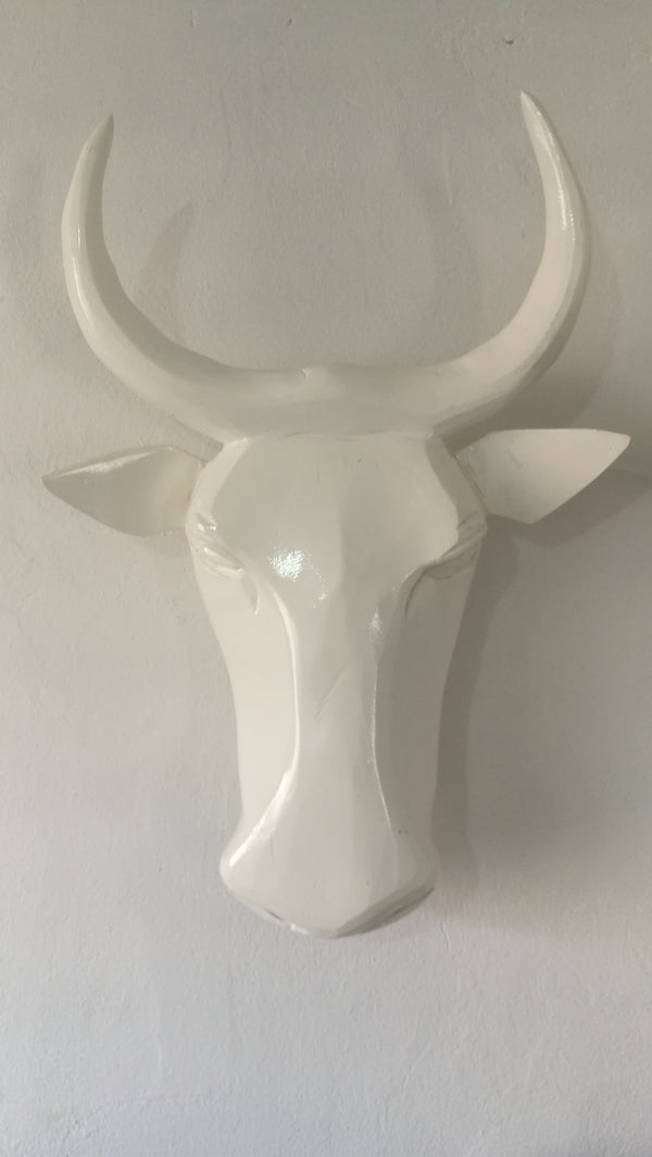 Swazi Wooden Carved Heads.