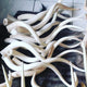 Kudu inner.