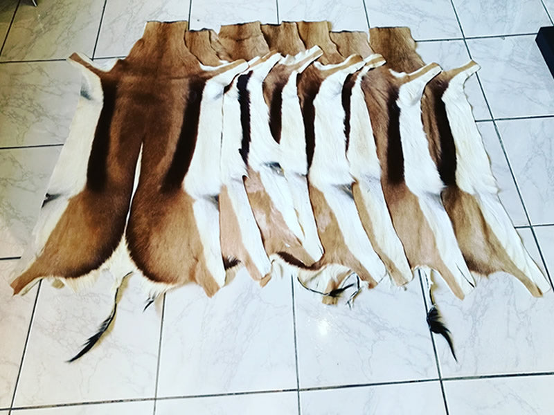 Springbok Flat Skin