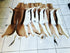 Springbok Flat Skin