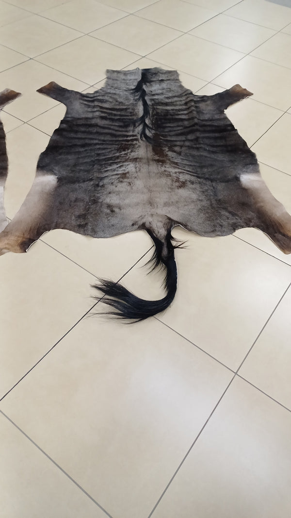 Blue Wildebeest Flat Skin.