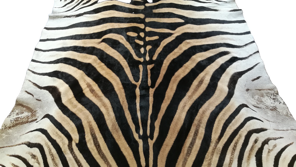 Zebra Burchell Hide AA grade