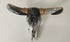Cow Decor Skull.