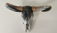 Cow Decor Skull.