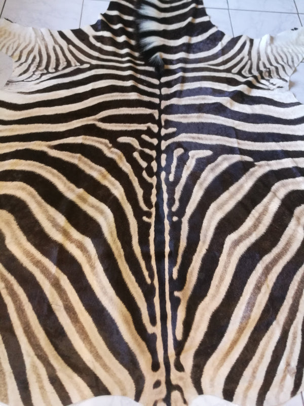 Zebra Hides AA Grade.