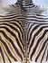 Zebra Hides AA Grade.