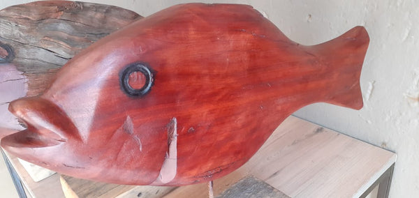 Drift Wood Fish.