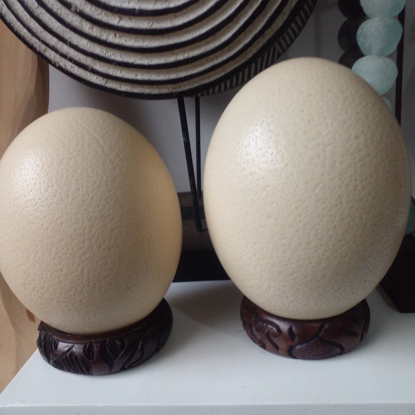 Plain Ostrich Eggs Large.