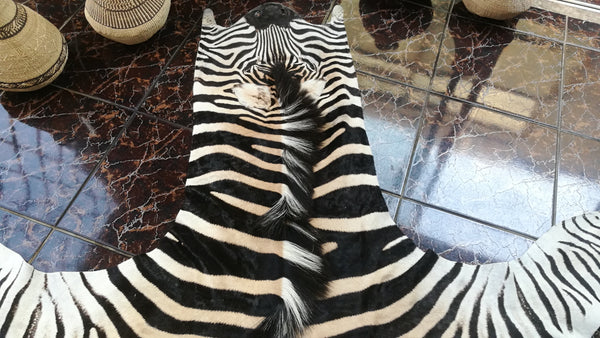Zebra Burchell Hide AA grade